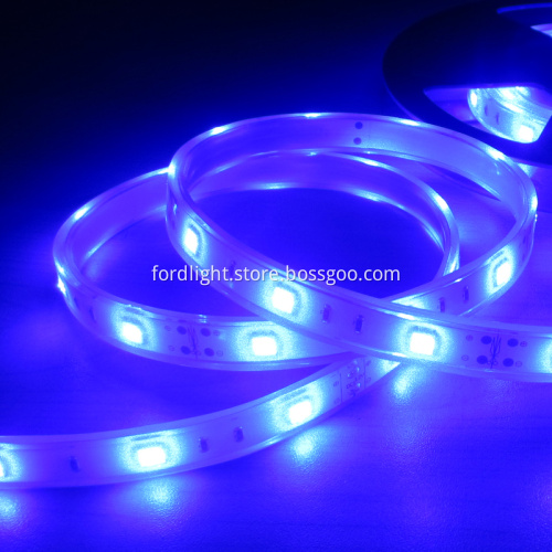 Waterproof Led Rope Lights for Boats